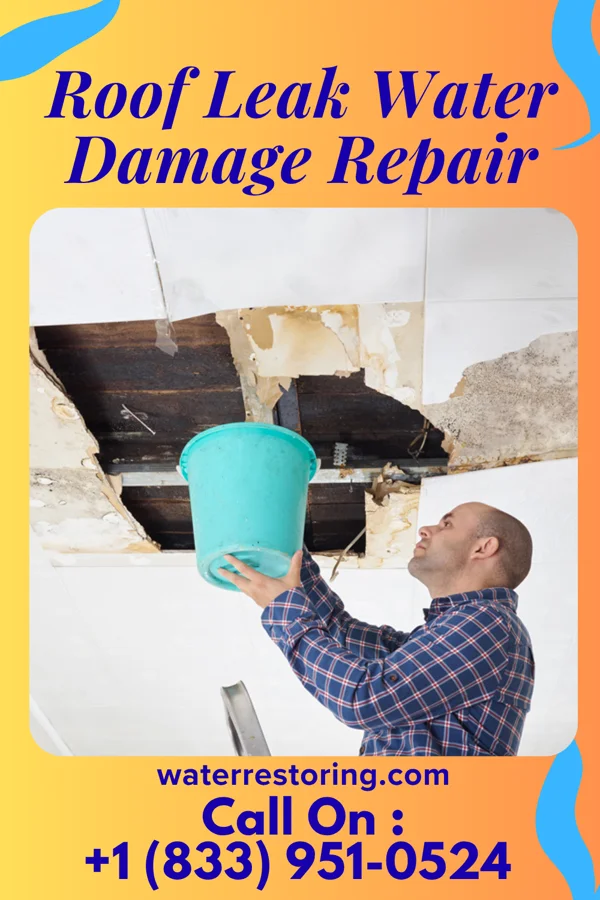 Roof Leak Water Damage Repair in Cedar Rapids, NE