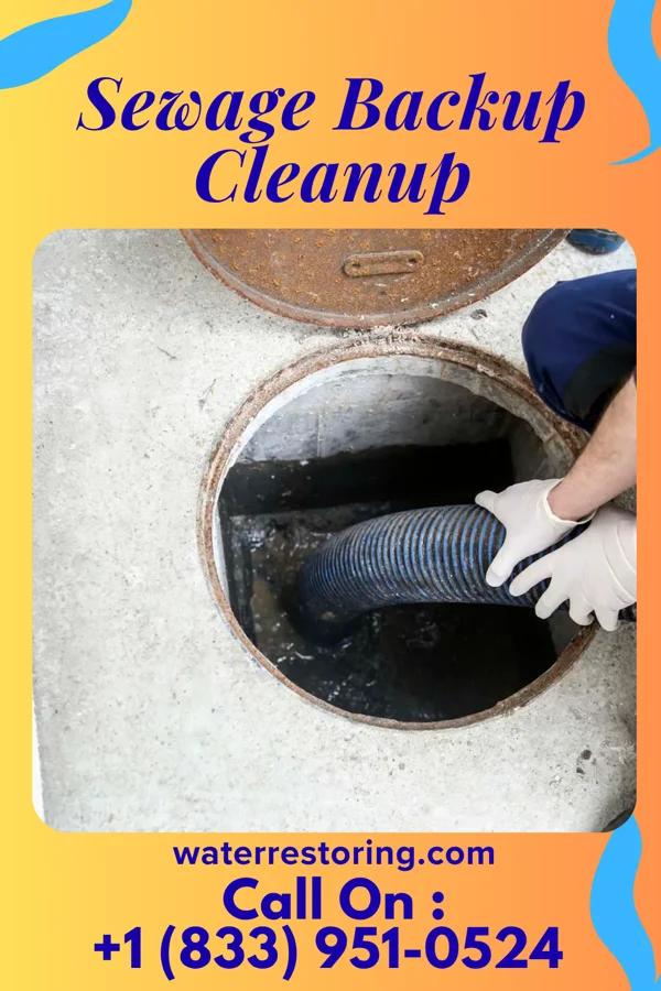 Sewage Backup Cleanup in Cedar Rapids, NE